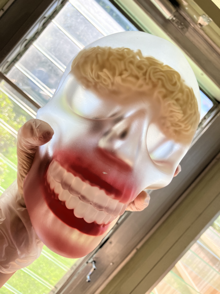 Photo of a full-size-skull (front half) made of translucent resin, with embedded ramen noodle block in the brain area, and chatter teeth in the teeth area, held up to the sun so the light shines through the translucent resin from the back.
